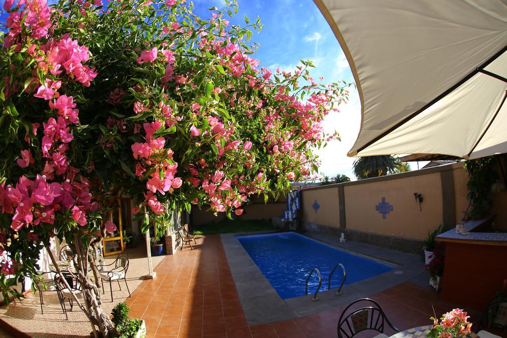 Hotel Puerto De Vega Vallenar Exteriör bild